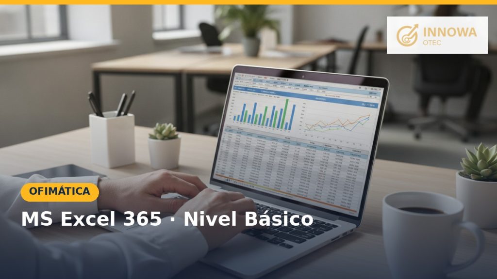 MS Excel 365, nivel básico