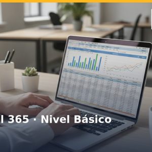 MS Excel 365, nivel básico