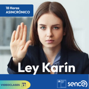 (Ley Karin) Herramientas para la prevención del acoso laboral, sexual y violencia en el trabajo